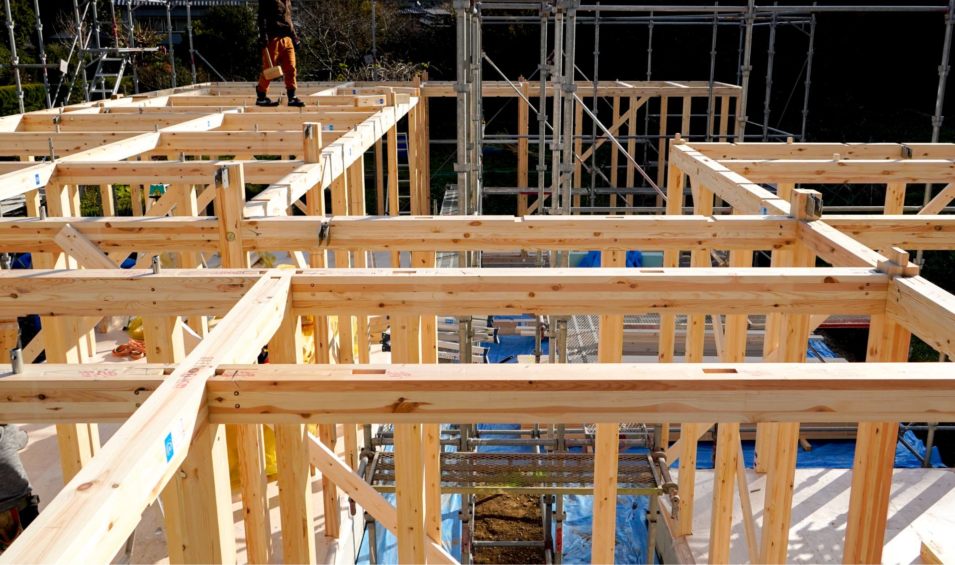 ピックアップ情報